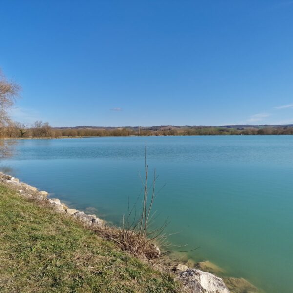 20230219_153913 20230219_153913