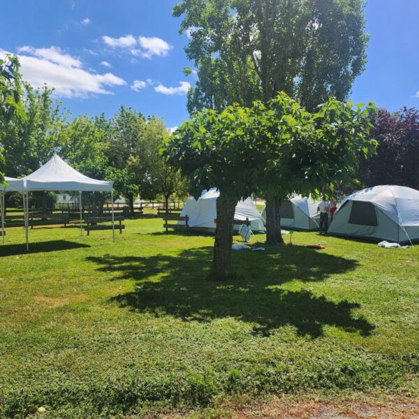 20240707_121103 20240707_121103